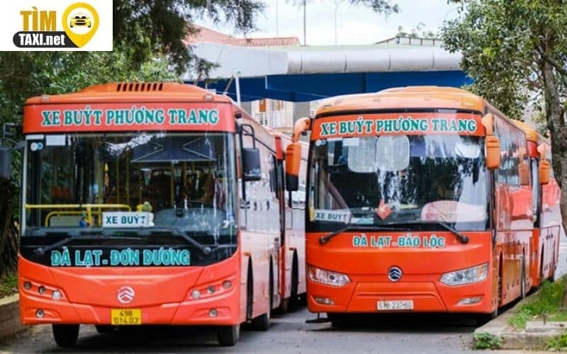 Xe bus Phương Trang tại sân bay Đà Lạt