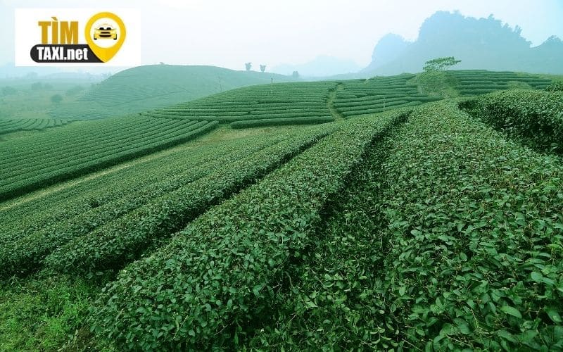 Tháng 10 nên đi du lịch ở đâu miền Bắc đẹp nhất? 5 tháng 10 nên đi du lịch ở đâu miền bắc