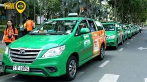 taxi mai linh gia nghĩa